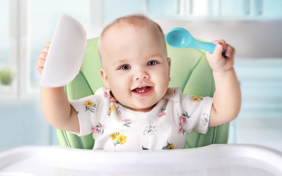 Introducing Solids to Your Baby: Baby Led Weaning or Purees?